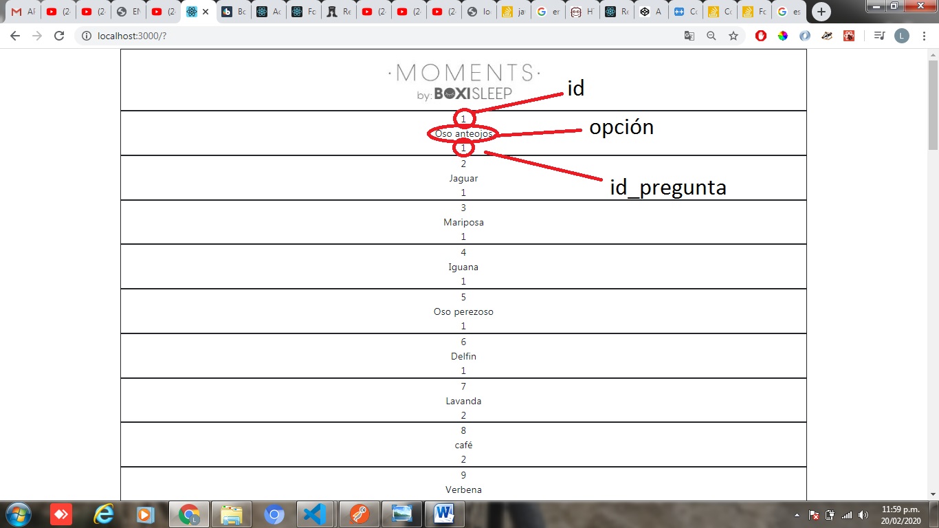 señalo el id correspondiente de cada objeto JSON