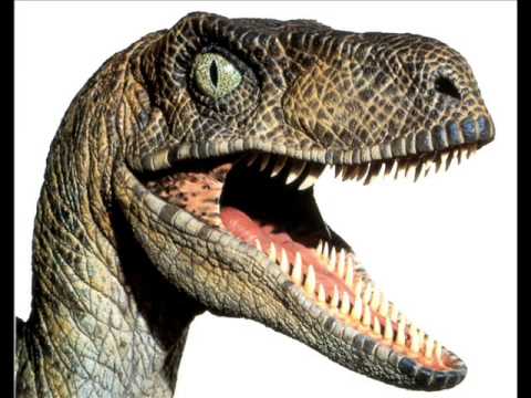 Velociraptor's user avatar