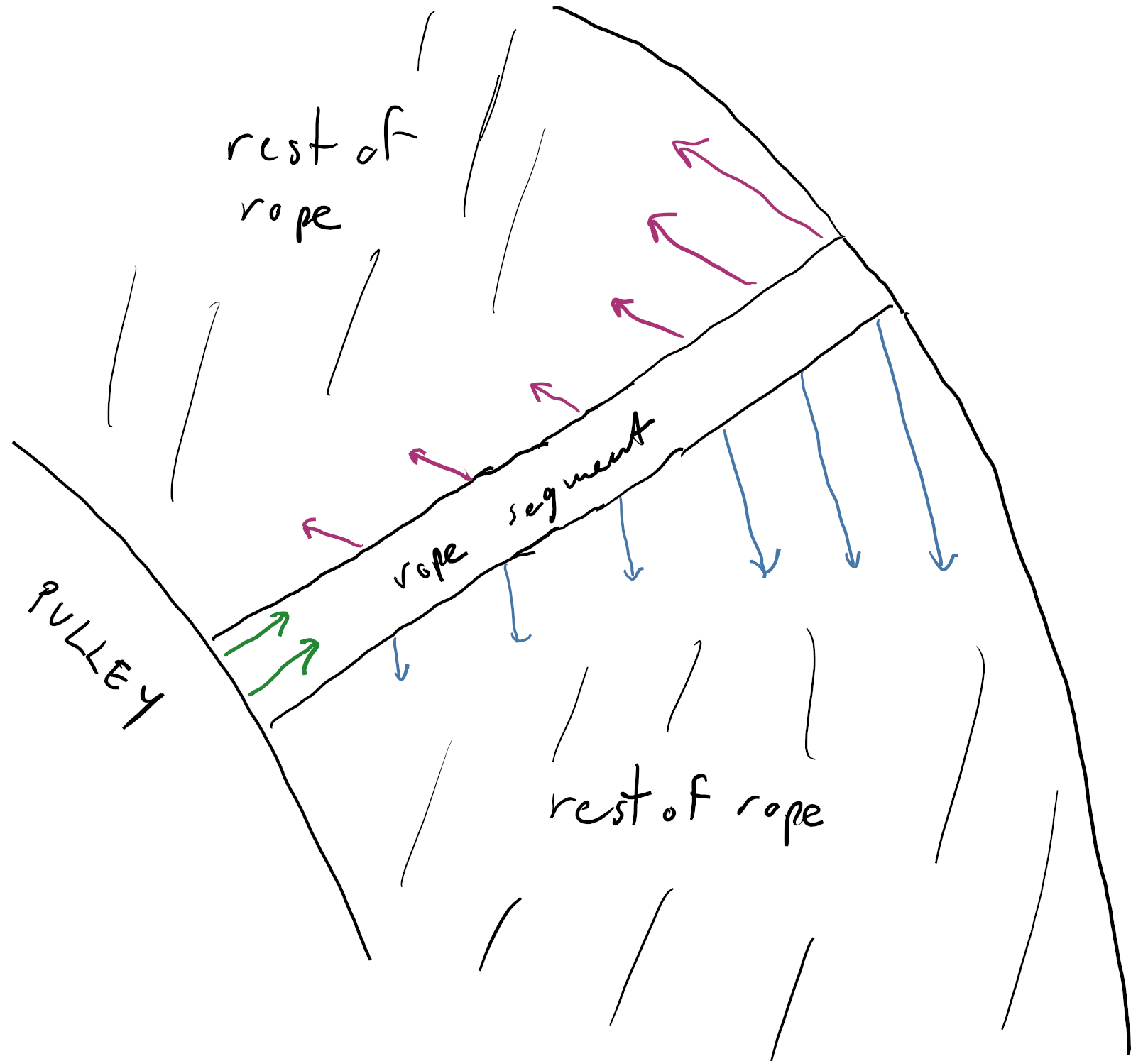 Illustration of forces on the surface of the segment