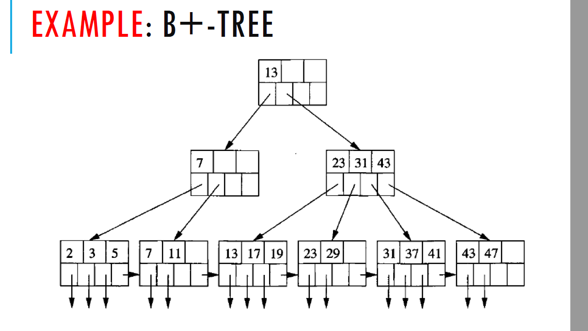 Index - B+ Tree Structure With Buckets (Begginer Question) - Database ...