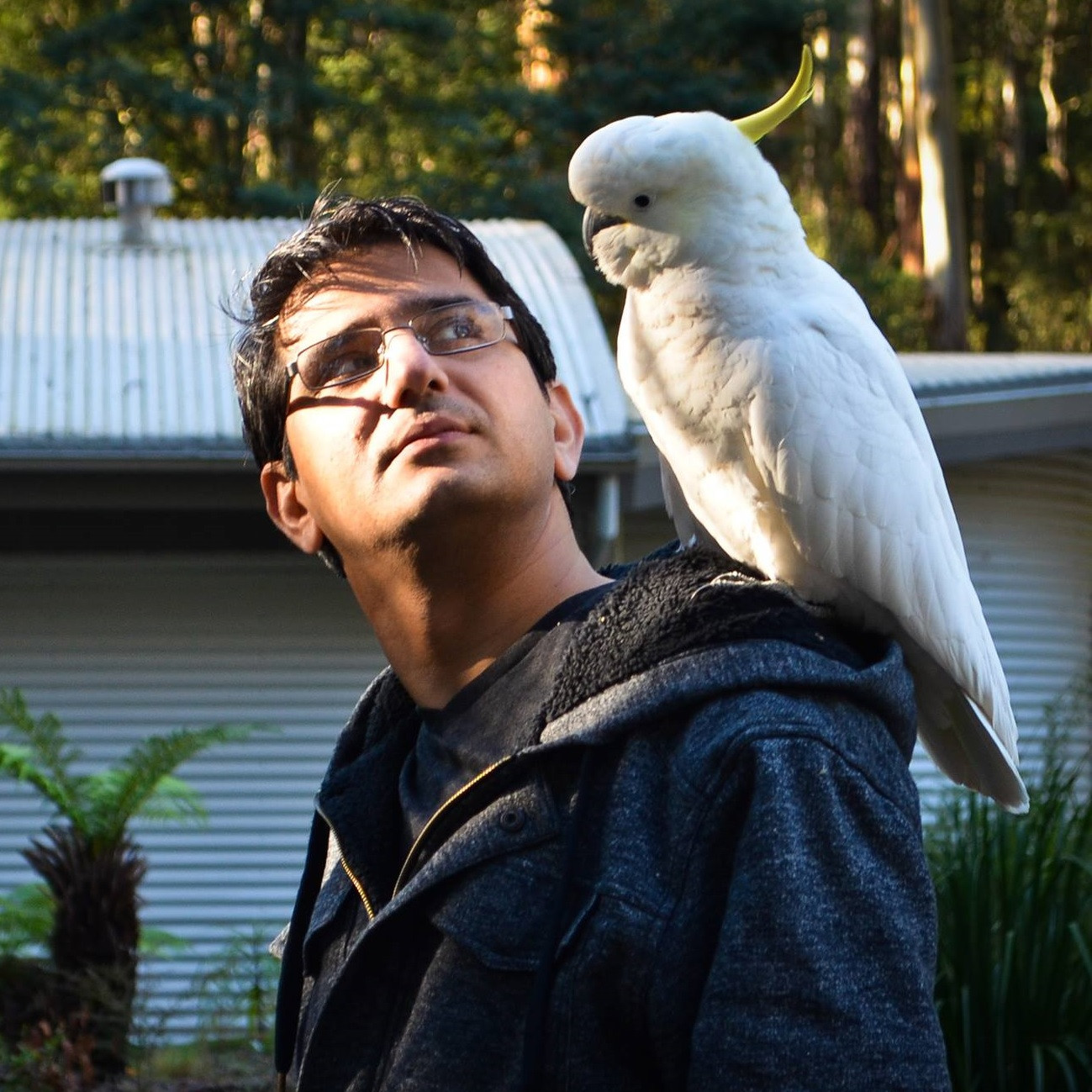 Sabeen Malik