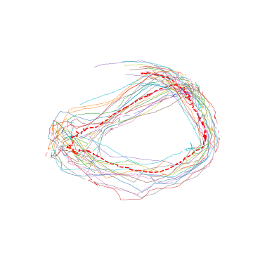 raw data: movement of individuals overlayed with centroid movement