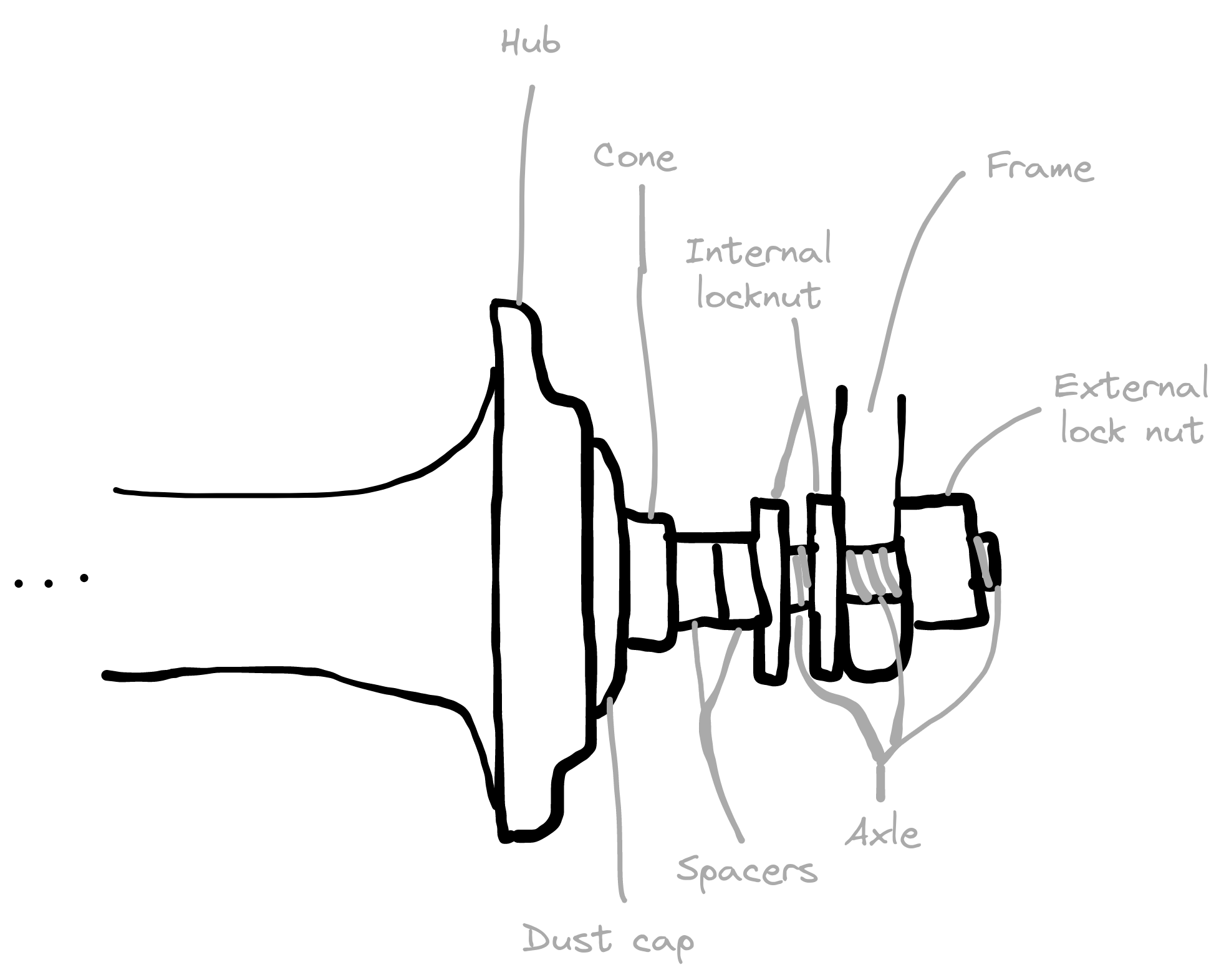 diagram of bike axle with extra internal lock nut while there is axle showing between the internal lock nuts