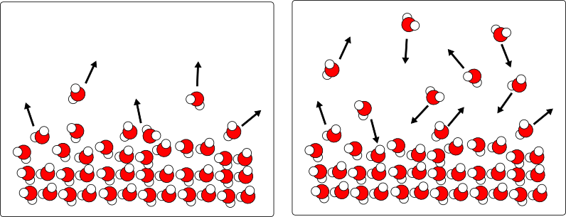 Dynamic equilibrium between liquid and vapor water molecules