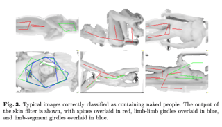 Typical images correctly classified as containing naked people