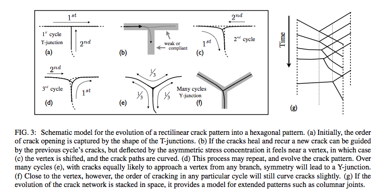 Figure 3 of Goehring's paper