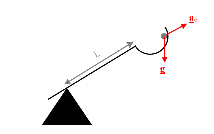 Schematic representation of the catapult