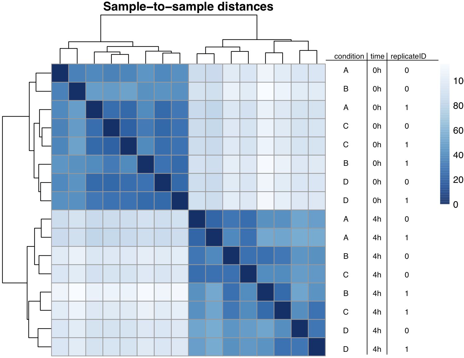 deseq2 sample2sample distance matrix