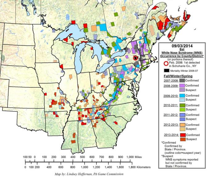 White-nose syndrome map