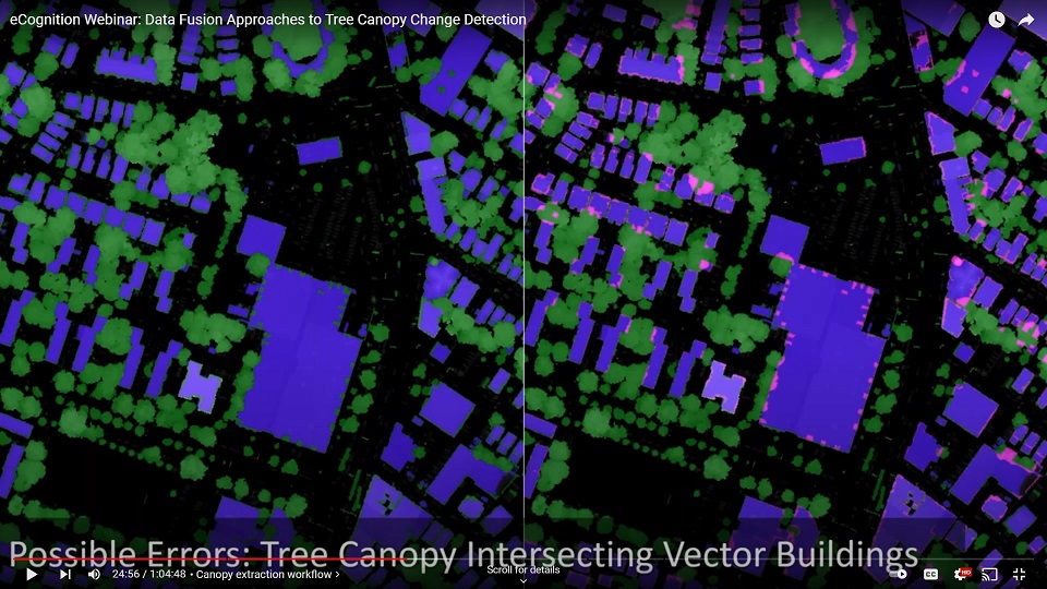 Screenshot of webinar; magenta is the canopy overlapping the rooftops