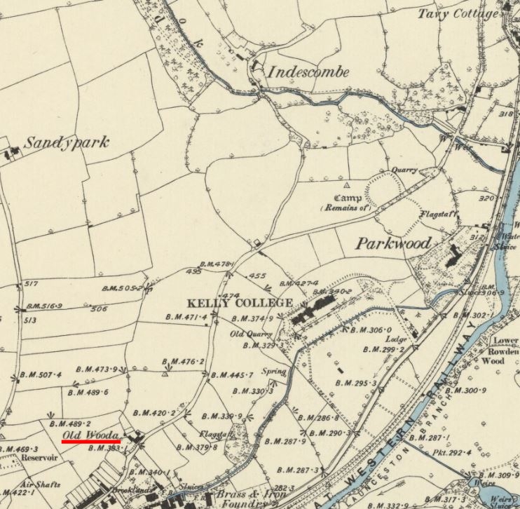 1884 Tavistock Map