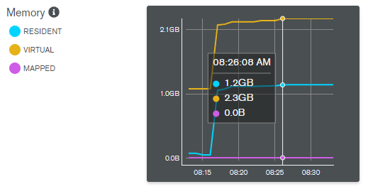 Virtual memory is Gb more than mapped memory