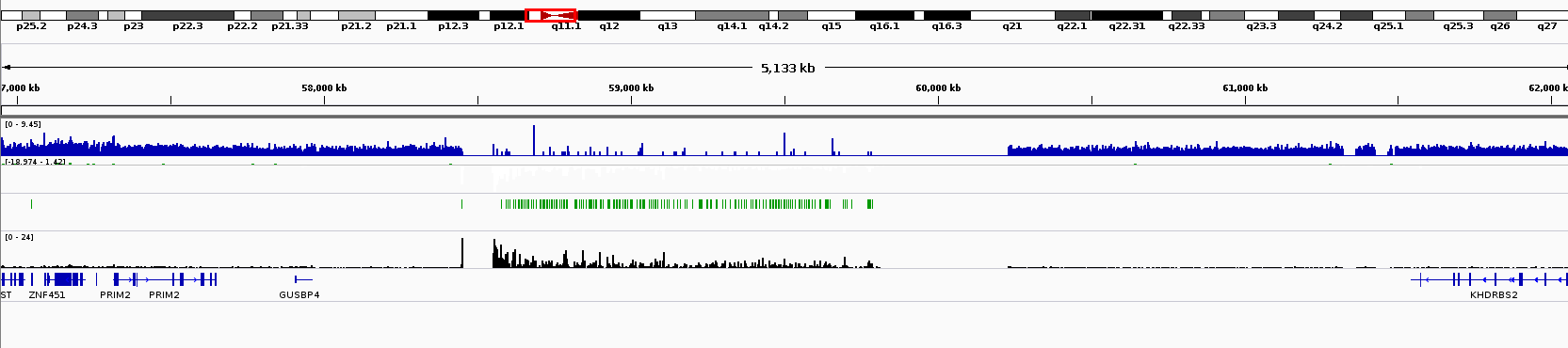 Zoom onto Chr6 centromere