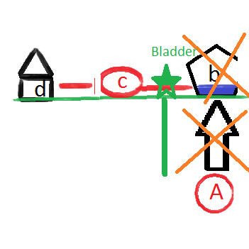 the project schematic for his proposal, cartoon form