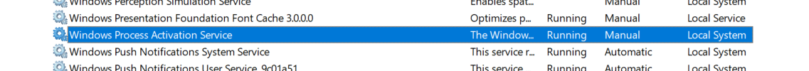 Windows Process Activation Service