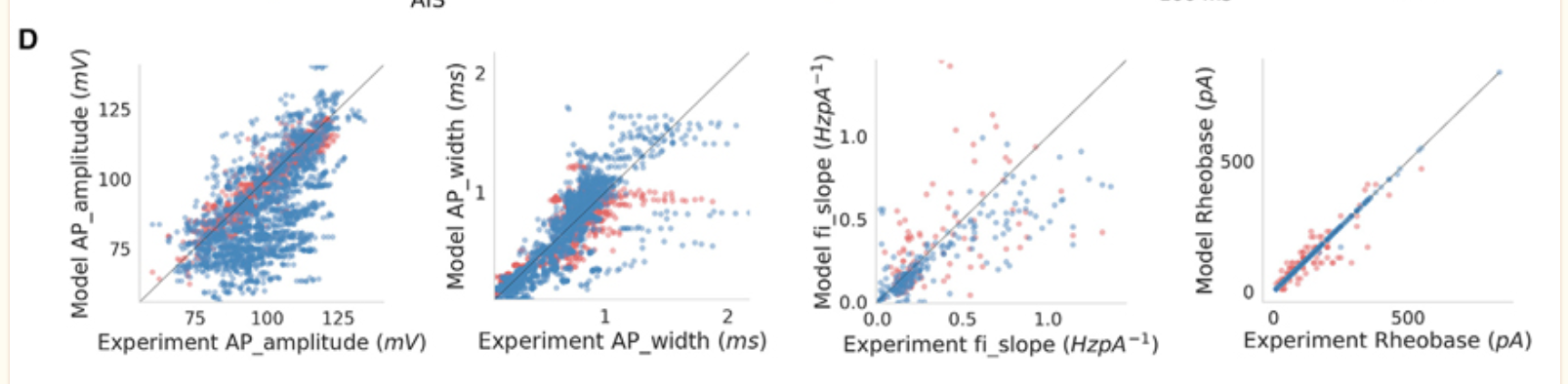 predicted vs. measured electrophysiological parameters