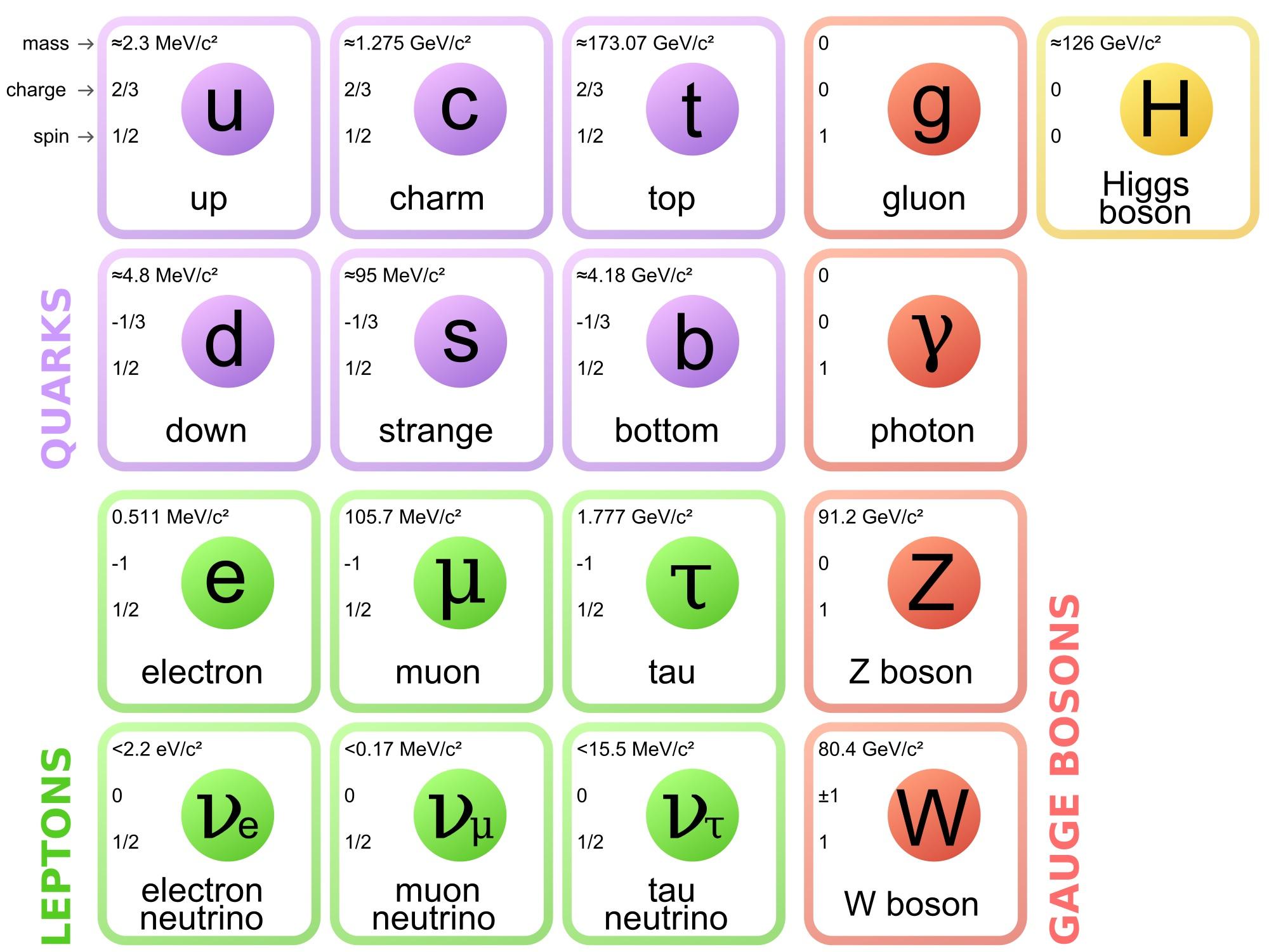 Particle Zoo