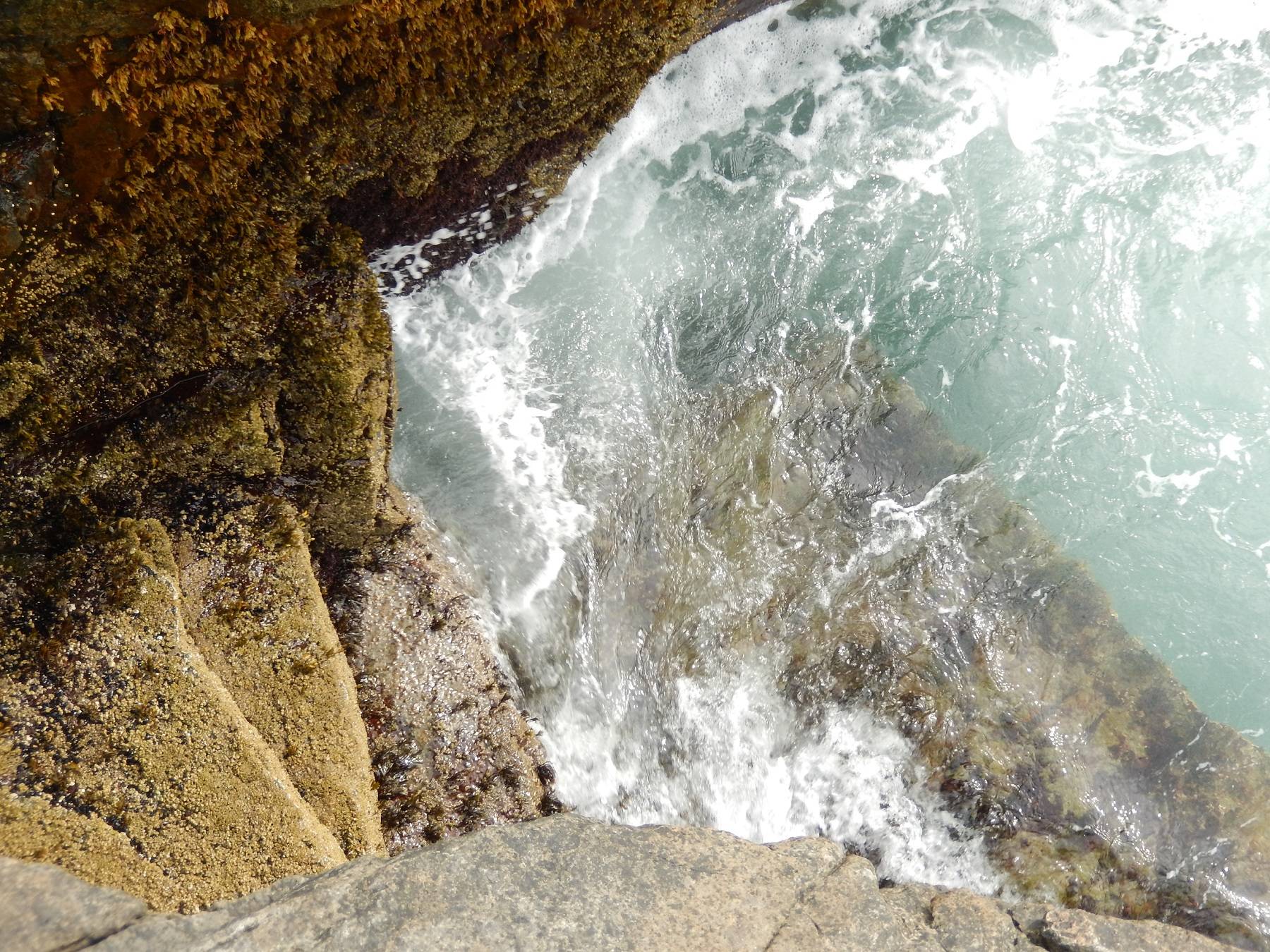 Steps leading to the bay at Schoodic Peninsula, Maine. 