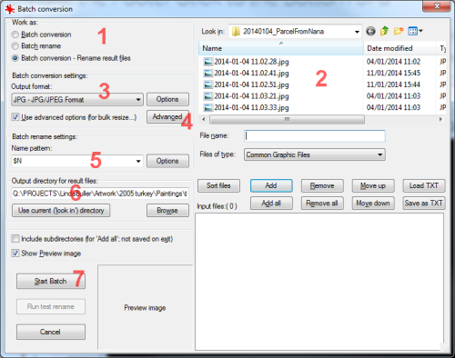 Batch Conversion Dialog