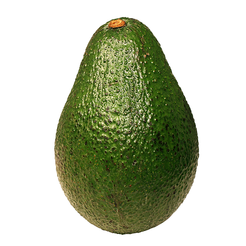 Avocado's user avatar