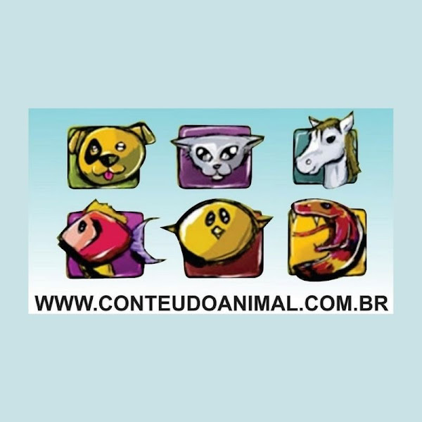 ConteudoAnimal's user avatar