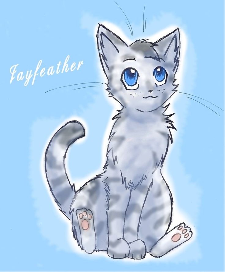 jayfeather31's user avatar