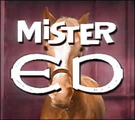 Title card from Mr Ed