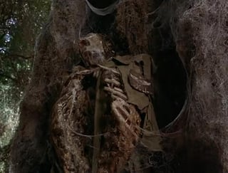 Image of a man's decomposed corpse hanging from a tree, from "Arachnid" (2001).