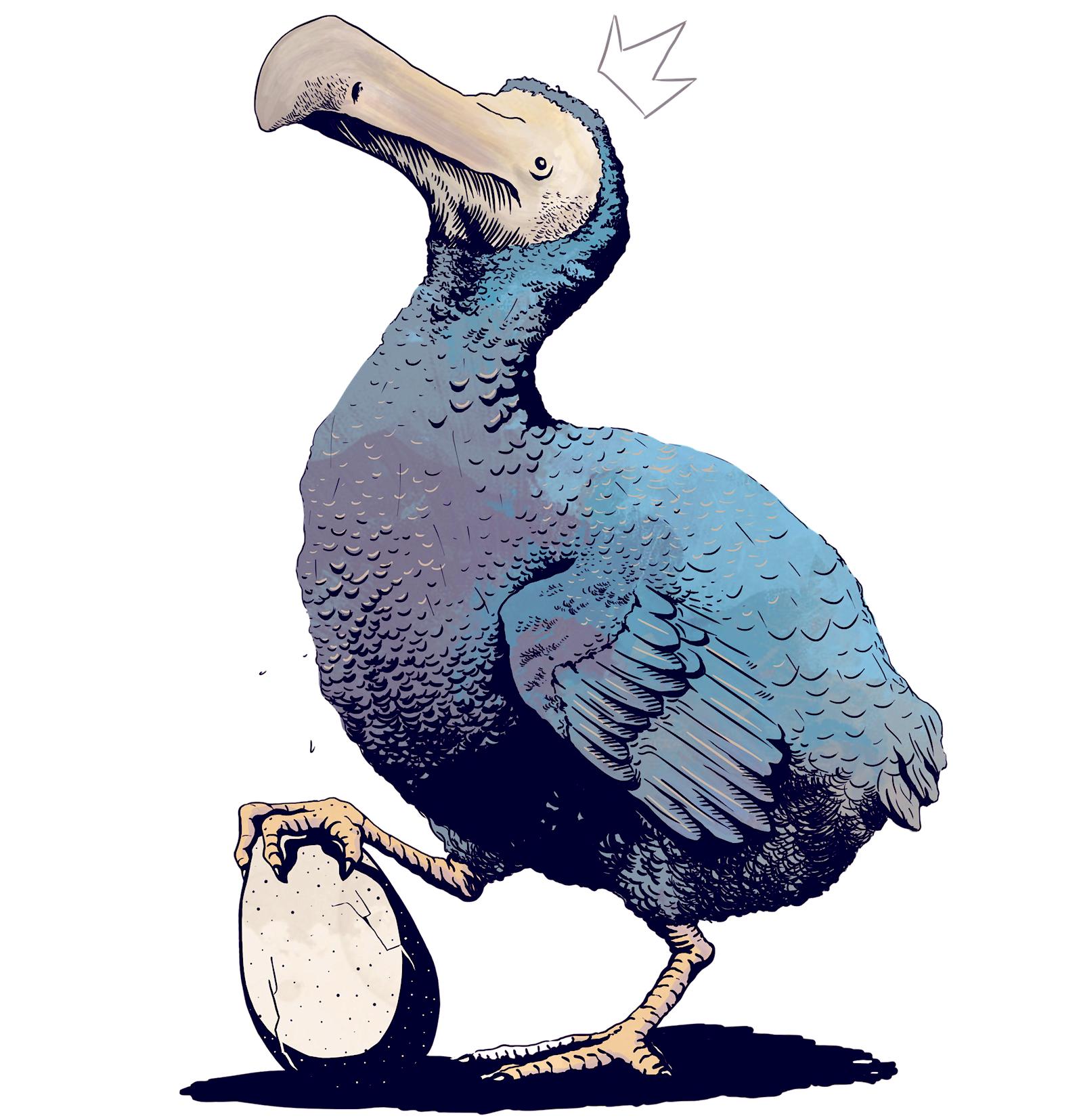 Dodo's user avatar