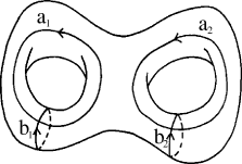 genus 2 surface, downloaded from dlmf.nist.gov