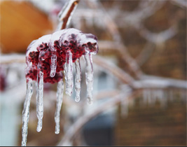 Ice Storm in Montreal