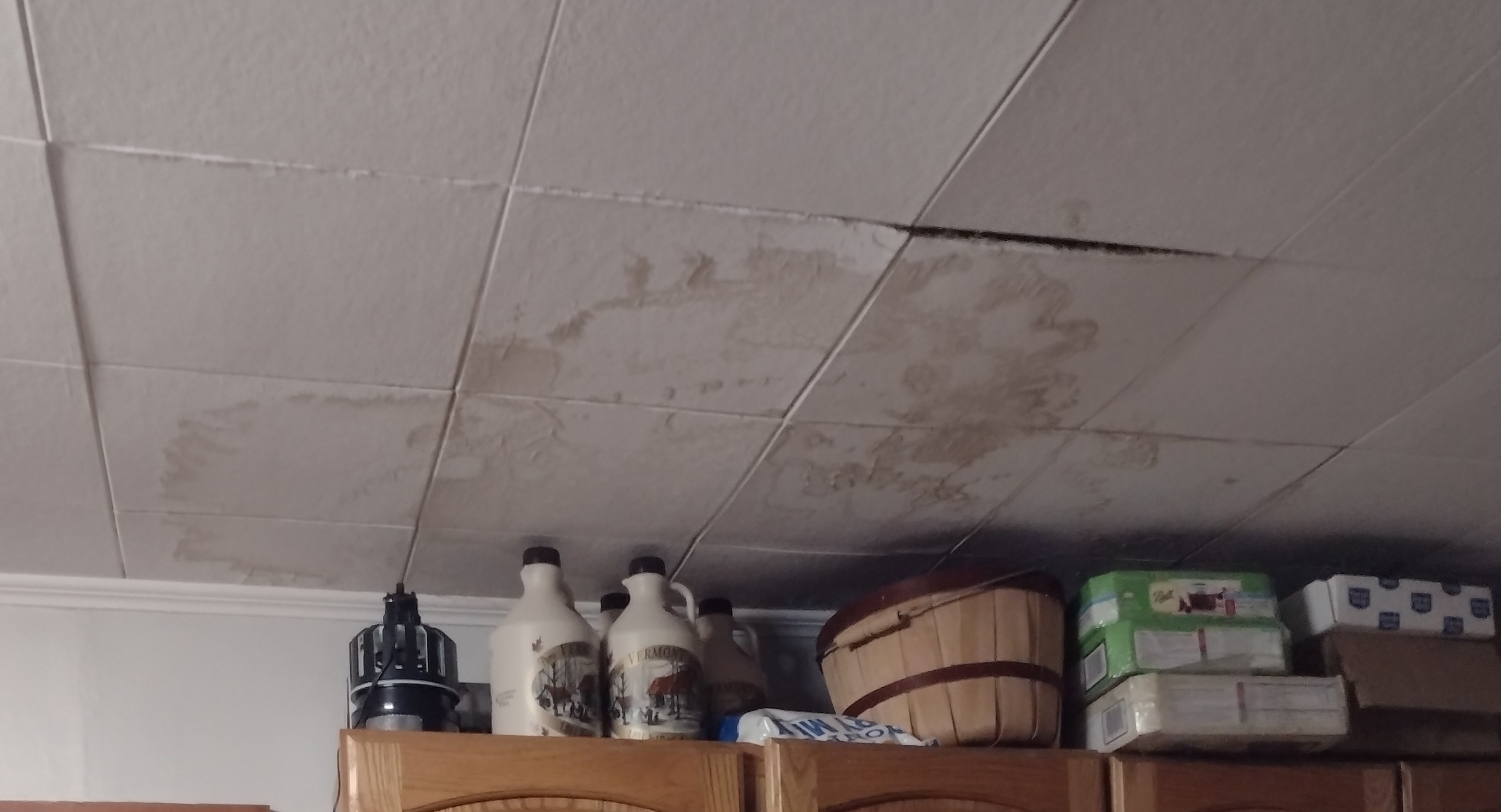 water-stained ceiling tiles above kitchen cabinet