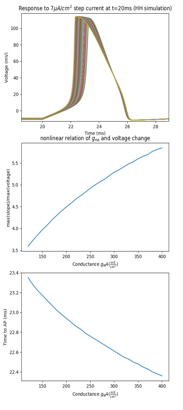 Hodgin Huxley Simulations for increasing number of NA channels