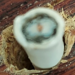 white casing with greyish blue insulation and a copper wire surrounded by white padding maybe?