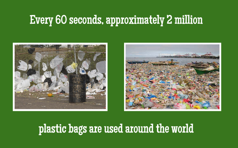 Plastic Bags Usage