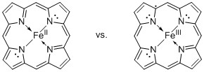 iron(II)heme vs iron(III)heme.-