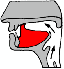 wikipedia diagram of retroflex stop