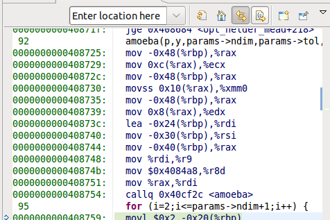 Before call to <code>amoeba</code>