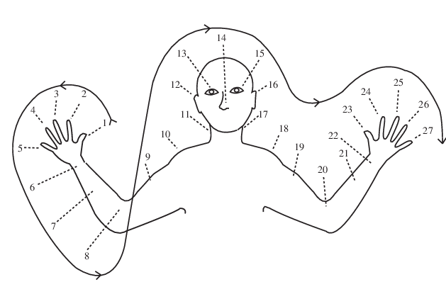 Oksapmin counting system