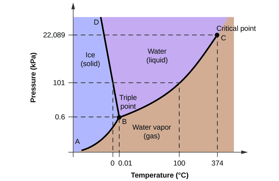 Phase diagram of water