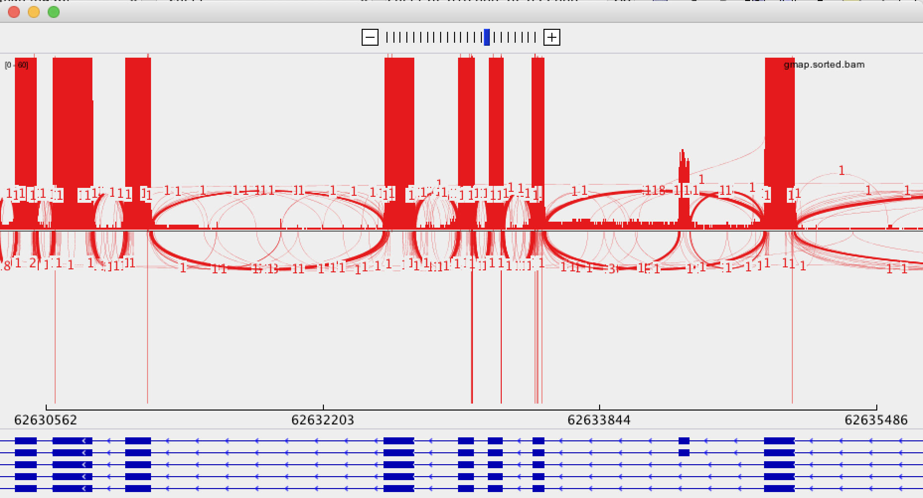 Sashimi plot with default settings