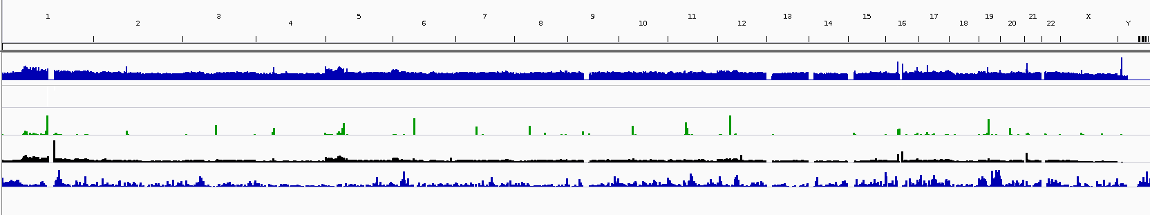 General appearance of chromosomes