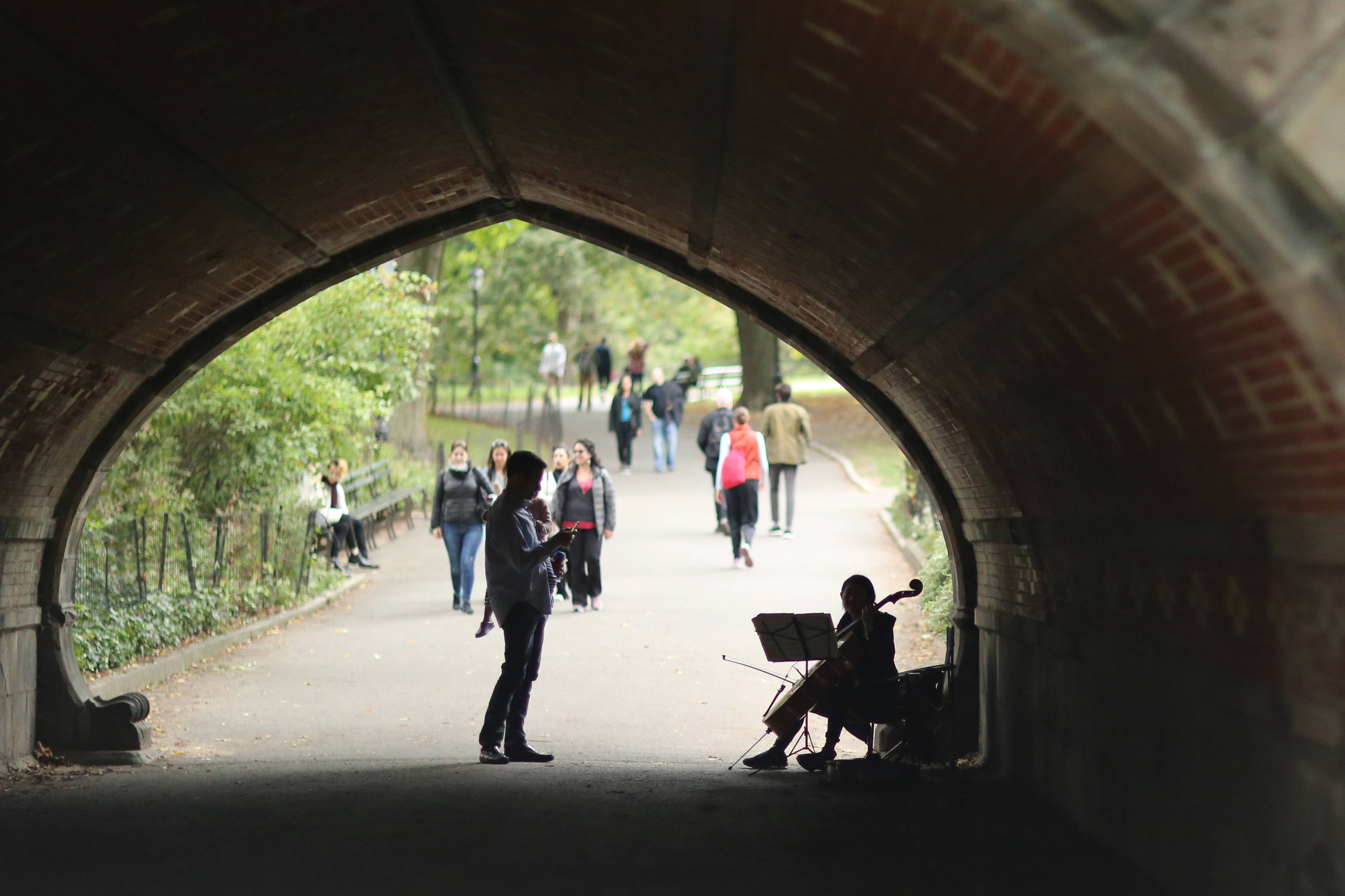 Cellist and Fan, Central Park