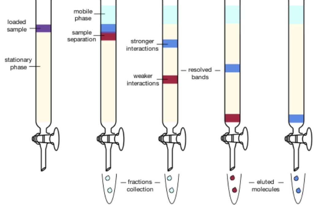 https://bitesizebio.com/29947/basics-chromatography-column/