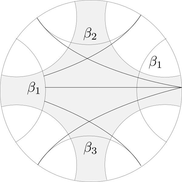 five-geodesics-in-poincare-disk