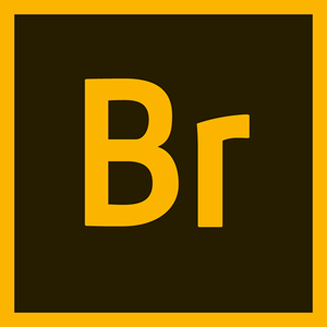 Adobe Bridge logo