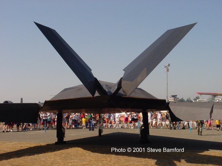 Tail view of the F-117