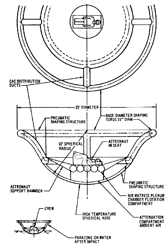 Paracone