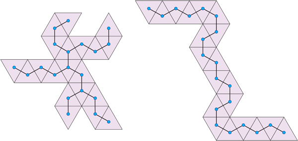 Icosa Nets