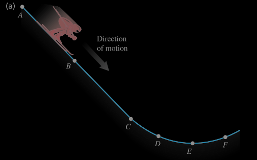 skier's physical curve